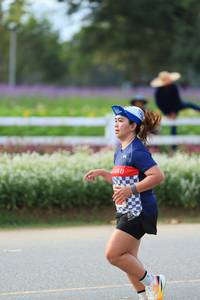 BIB: 
                            <button type="button" onclick="openModal(27894170)" class="btn btn-primary btn-sm float-right btn-popup" data-toggle="modal" data-target=".modal-high-quality">
                        <i class="fas fa-shopping-cart"></i> Add to Cart
                    </button>
                                            <button type="button" onclick="isThisMe(27894170, true)" class="btn btn-success btn-sm float-right btn-popup btn-isme hidden" data-toggle="tooltip" data-placement="bottom" title="นี่คือรูปของคุณใช่ไหม คลิกที่นี่เพื่อเอาเข้าอัลบั้ม">
                        <i class="fas fa-plus"></i> Add to album
                    </button>
                    <button type="button" onclick="isThisMe(27894170, false)" class="btn btn-warning btn-sm float-right btn-popup btn-isnotme hidden">
                        <i class="fas fa-ban"></i> Remove from album
                    </button>